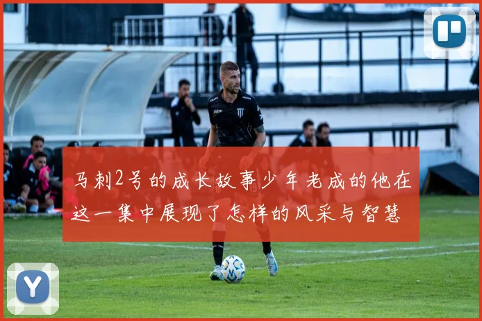 马刺2号的成长故事少年老成的他在这一集中展现了怎样的风采与智慧