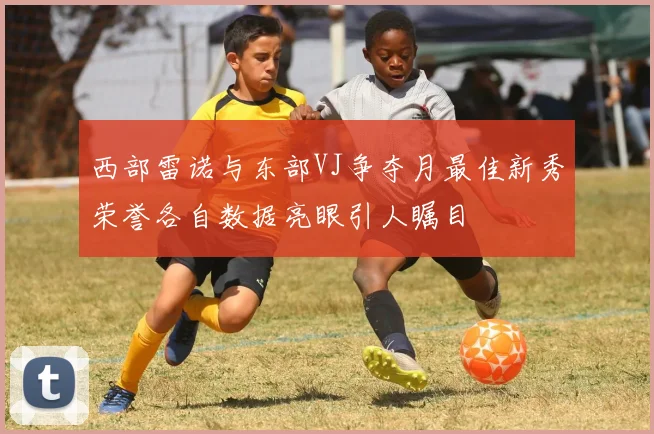 西部雷诺与东部VJ争夺月最佳新秀荣誉各自数据亮眼引人瞩目