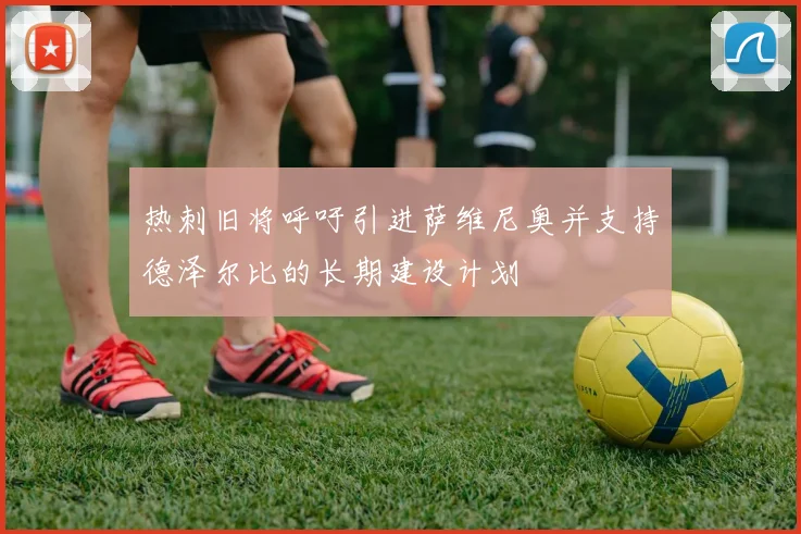 热刺旧将呼吁引进萨维尼奥并支持德泽尔比的长期建设计划